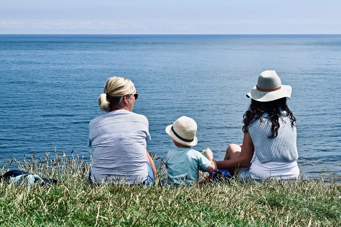 Grandparent visitation custody
