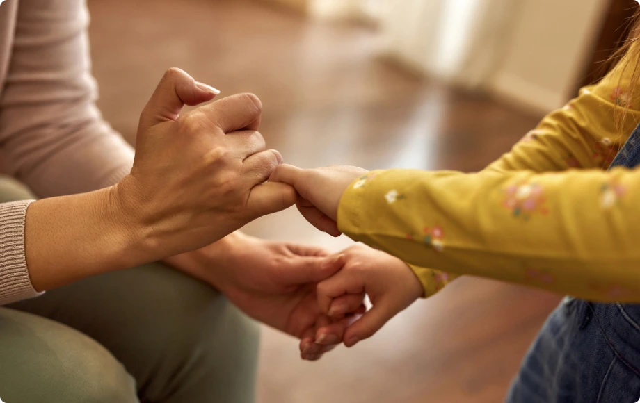 Enforce a Parenting Plan or Child Support Order